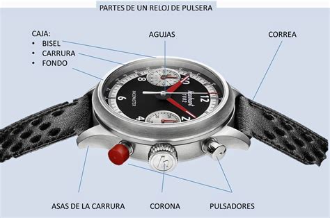 Partes de un reloj de pulsera .